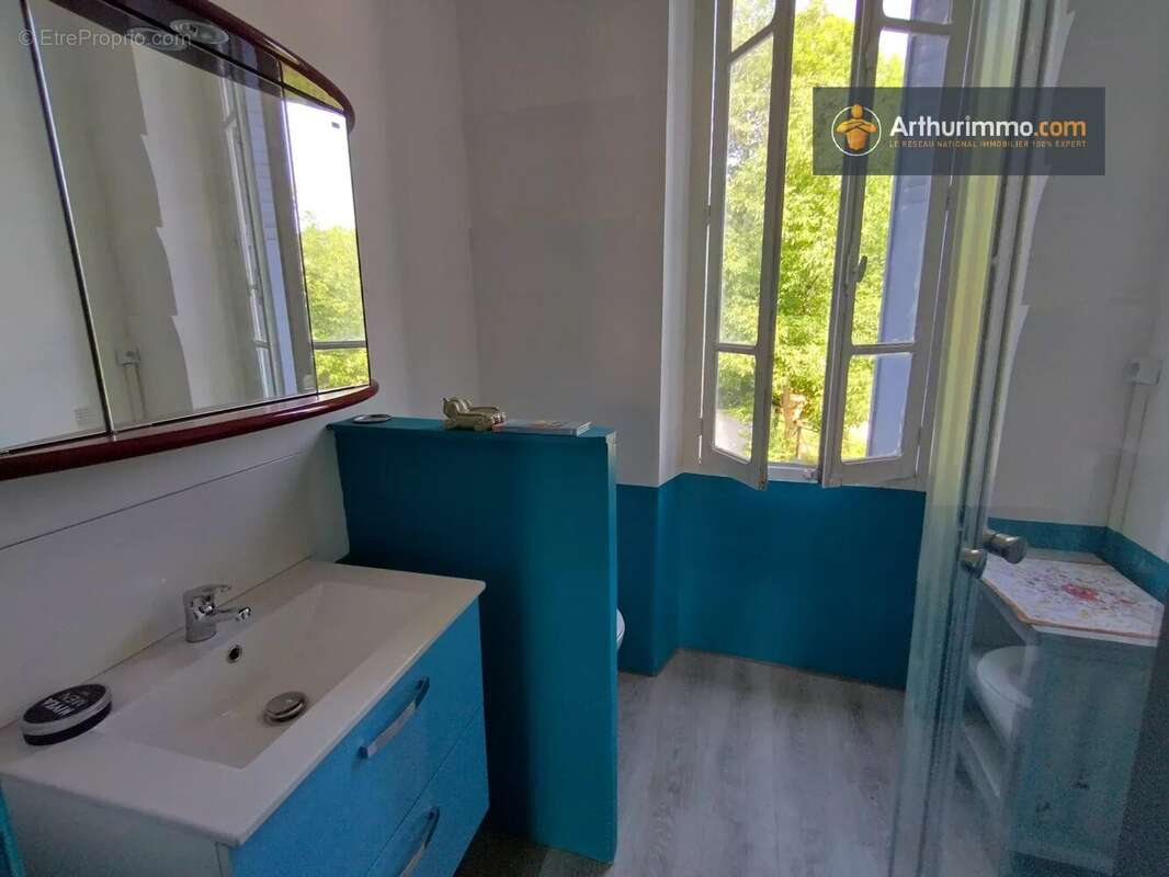 Maison à VILLENEUVE-D&#039;OLMES