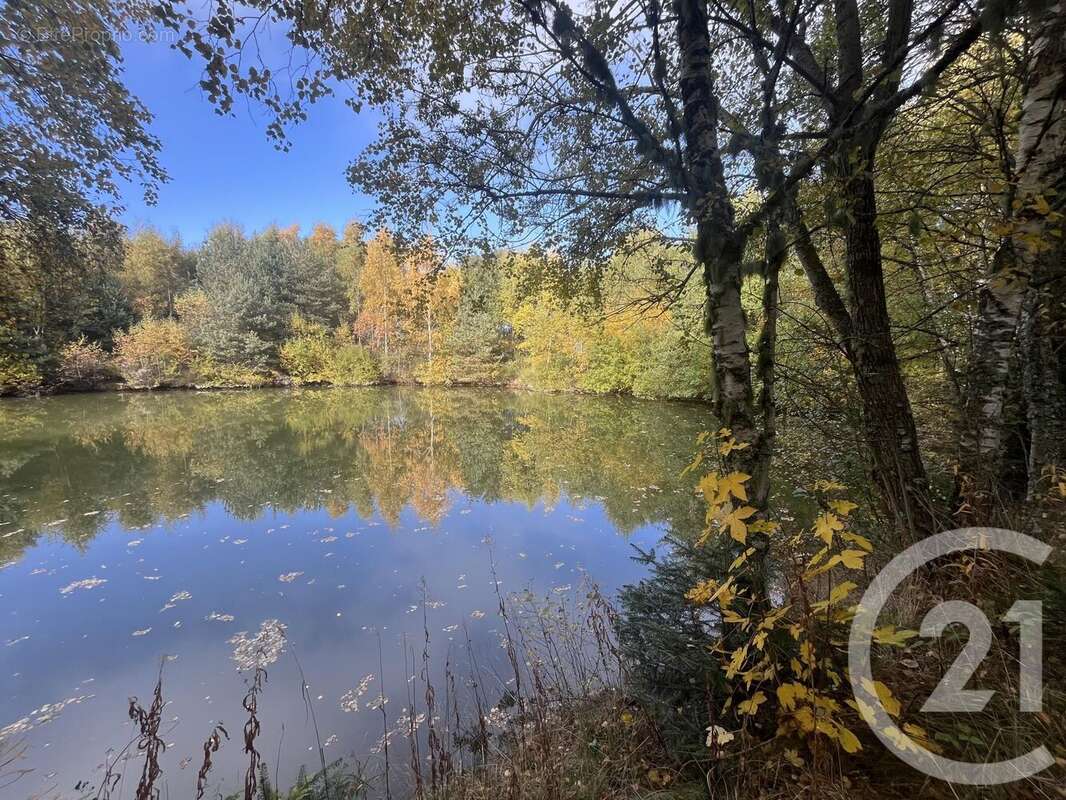 Terrain à BURDIGNES