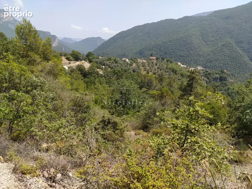 Terrain à Batir  de 1605m2 - photo 4