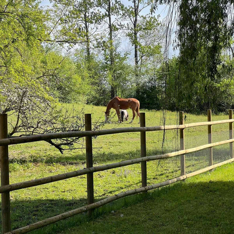 Country property with pool and stables - photo 10