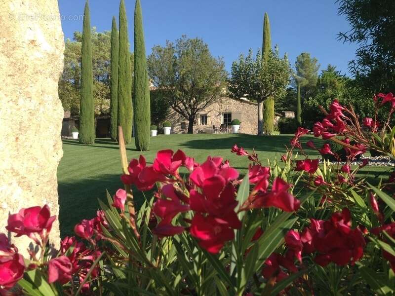 Domaine d'exception au cœur du Luberon - photo 4