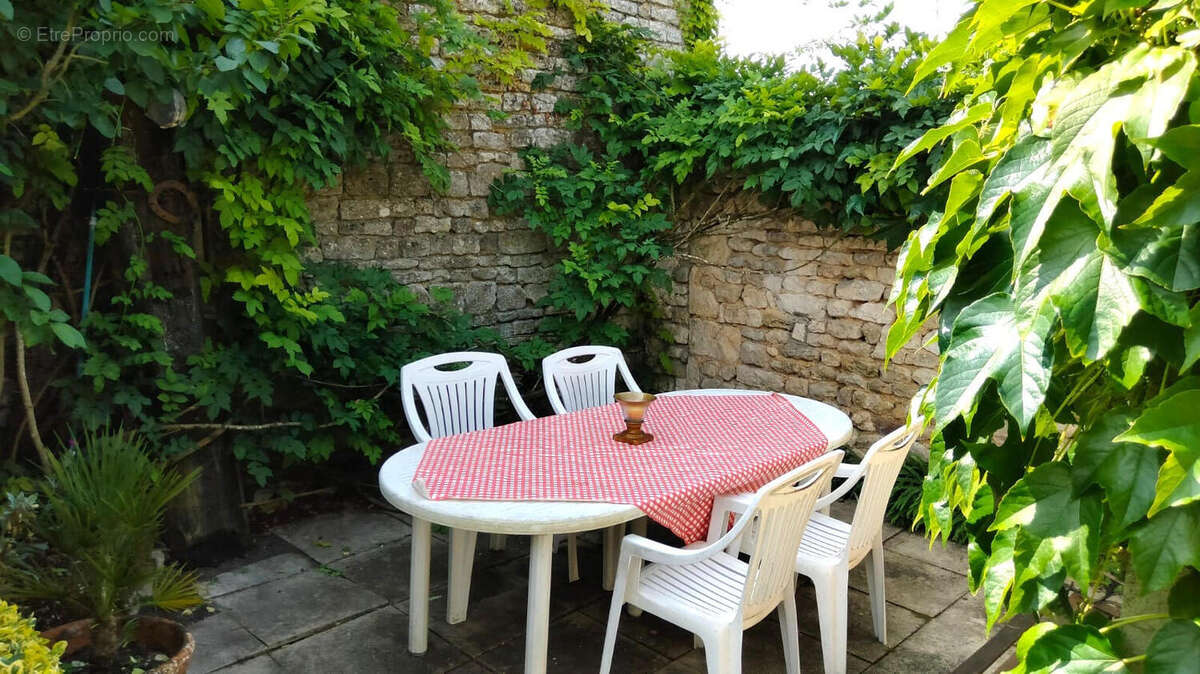 JARDIN - Maison à SALLES-DE-VILLEFAGNAN