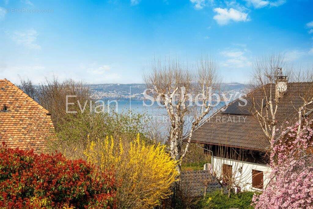 Neuvecelle, villa au calme - photo 9