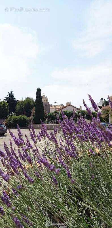 Appartement à SAINTES-MARIES-DE-LA-MER