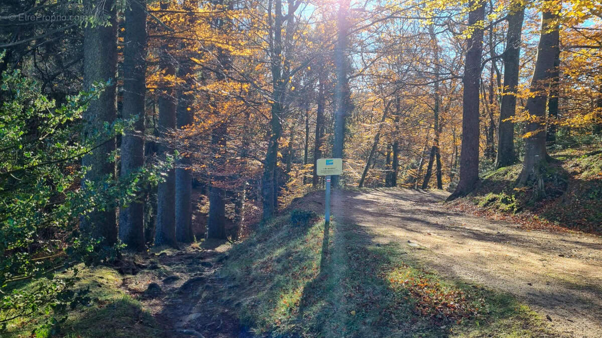ballade a proximité - Maison à SAISSAC