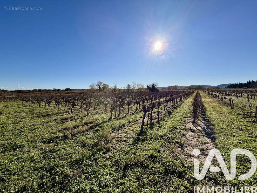 Photo 2 - Terrain à LAUDUN-L'ARDOISE