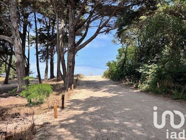 Photo 9 - Maison à NOIRMOUTIER-EN-L&#039;ILE