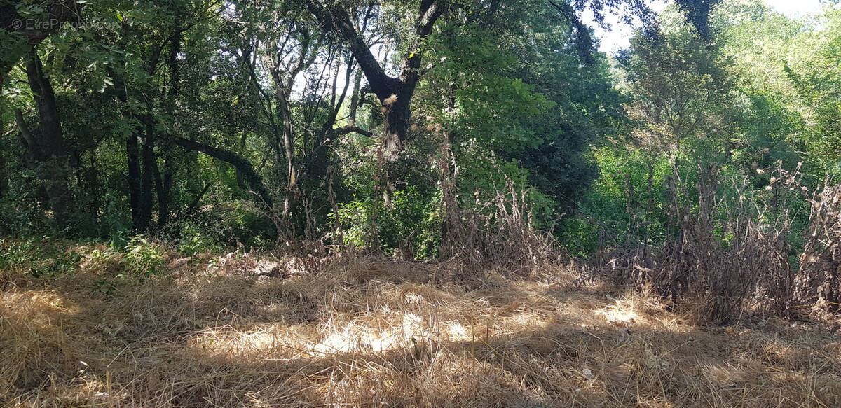 Terrain à GRANS