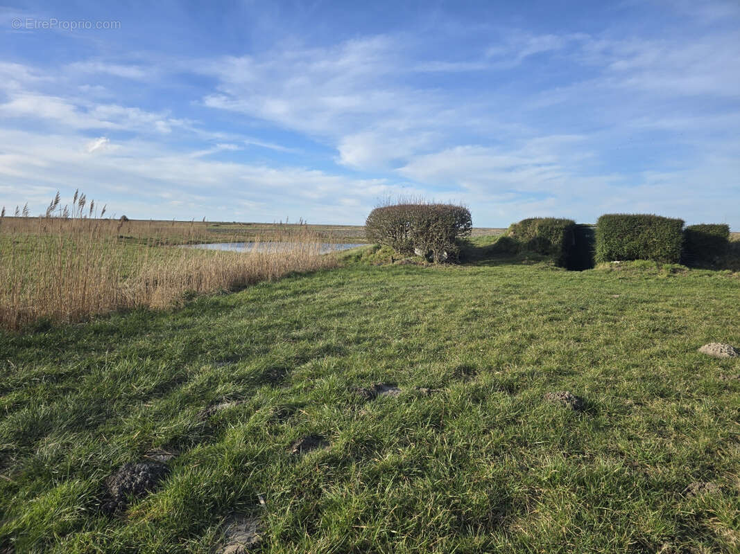 Terrain à WOIGNARUE