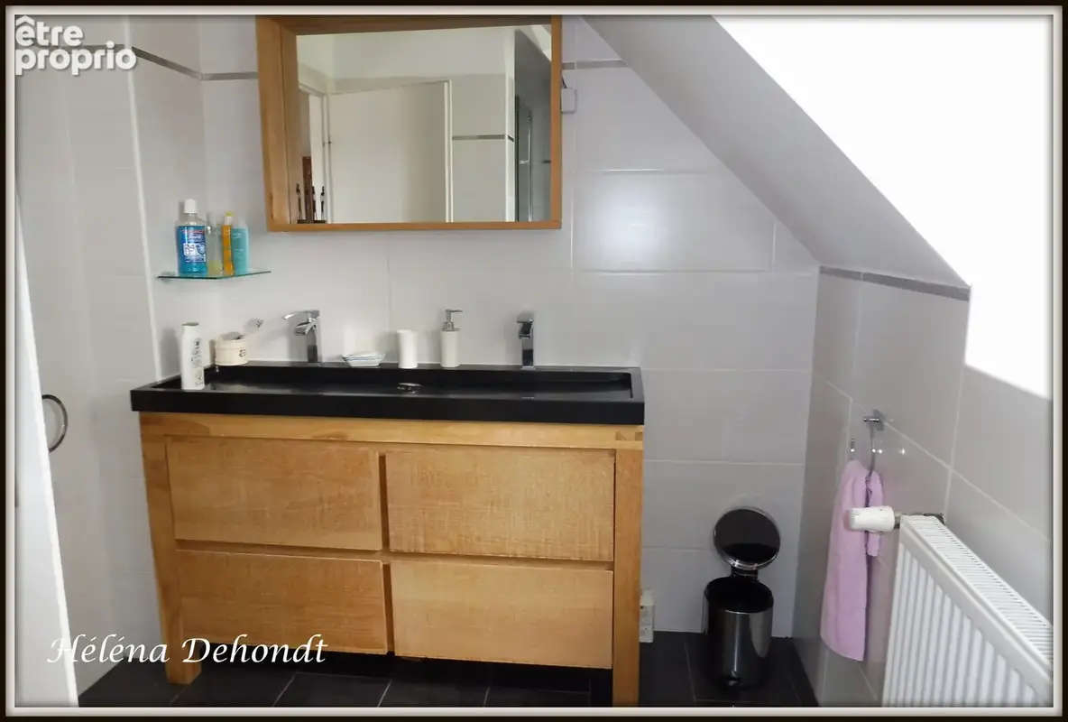 Maison 303 m² à Luneray  - photo 7