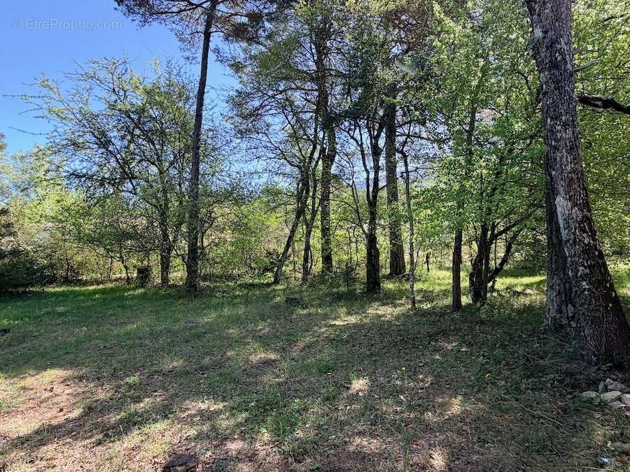 Terrain à PLAN-D'AUPS-SAINTE-BAUME