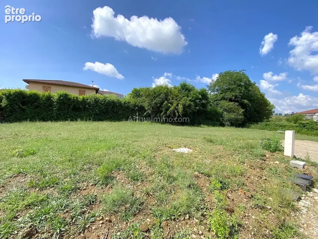 Vente Terrain Chalamont(01320) 75 000ï¿œ - photo 3