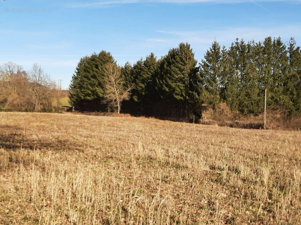 Terrain à CHAPDES-BEAUFORT