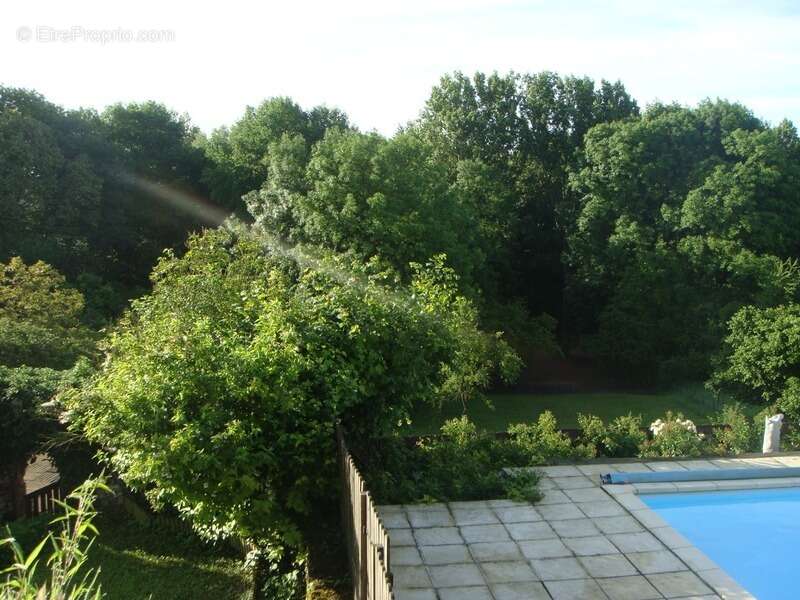 Maison, dépendances, grand terrain - photo 19
