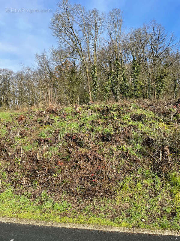 Terrain à MONCHY-SAINT-ELOI