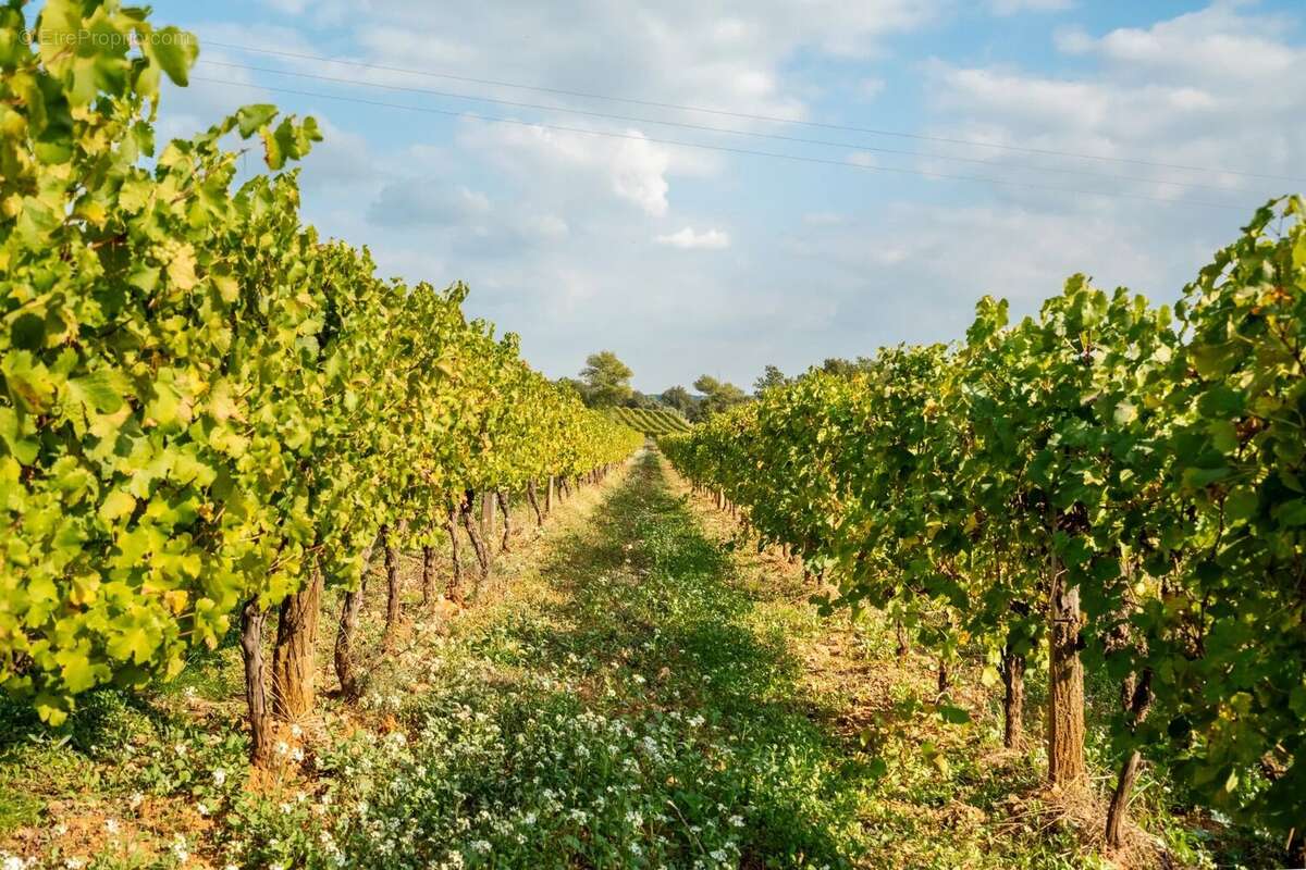 Maison à FOX-AMPHOUX