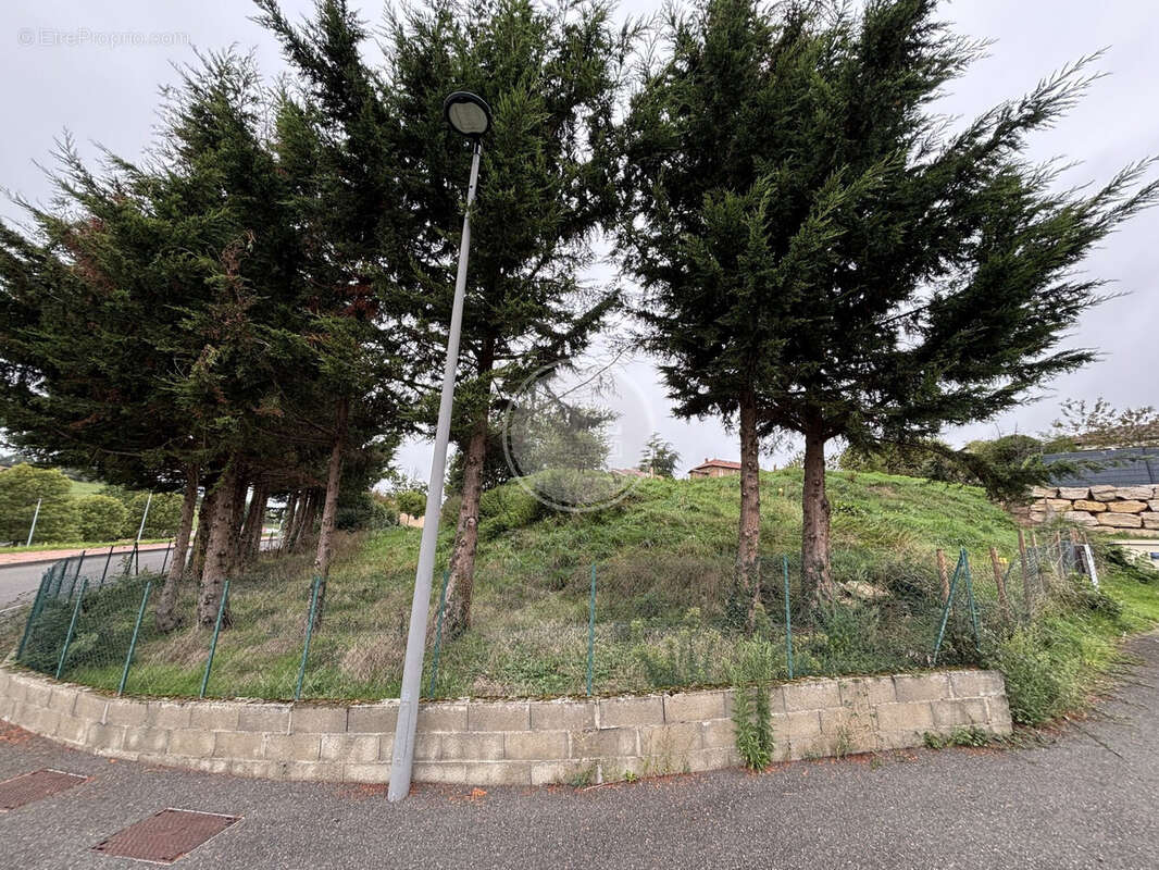 Terrain à SAINT-LAURENT-DE-CHAMOUSSET