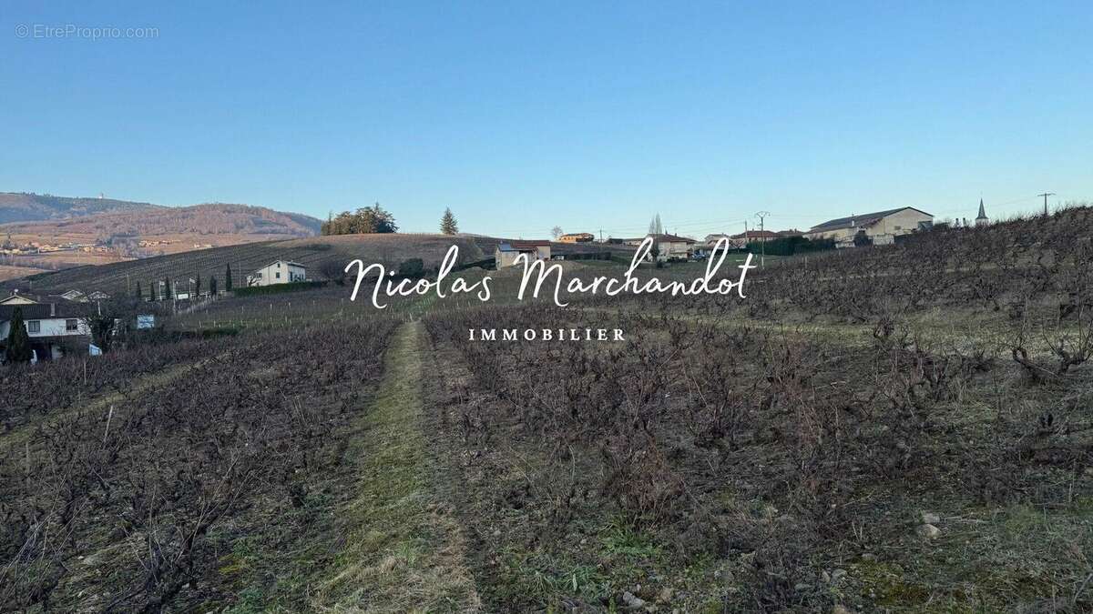 Photo 6 - Commerce à LANTIGNIE