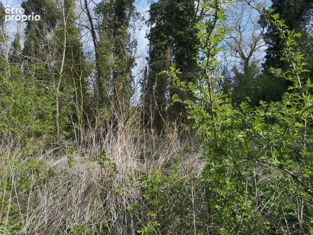 Terrain 661 m² à vendre à Thun-Saint-Martin (59141) - photo 1