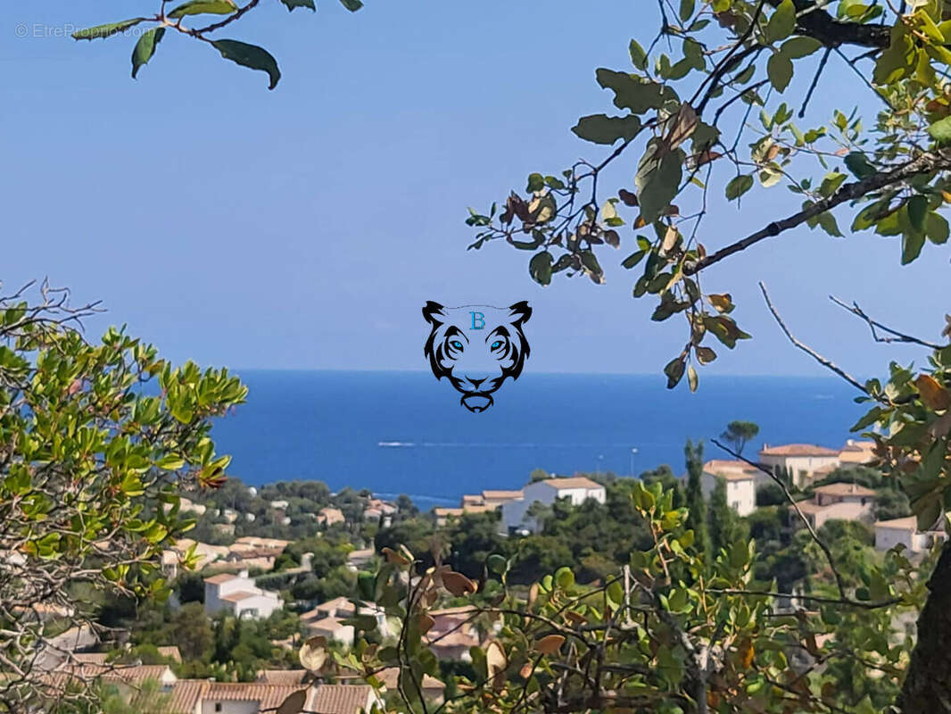 Maison à LES ISSAMBRES