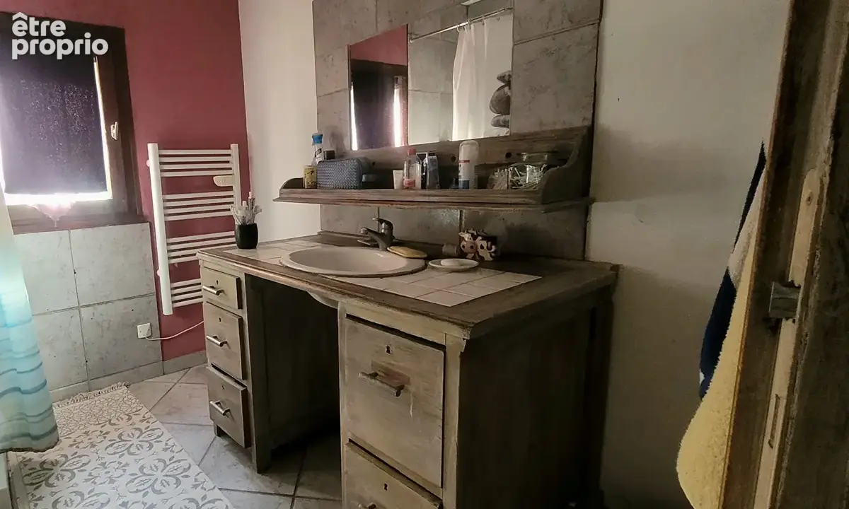 Maison 317m² à la bâtie-montgascon - photo 13