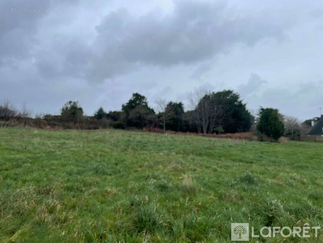 Terrain à LOCMIQUELIC