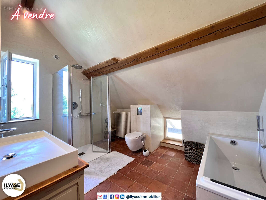 Superbe propriété de 356 m2  1100 m2  7 CH  1 dépendance  Garage/Atelier - photo 25