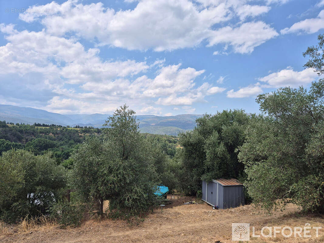 Maison Los Masos sur terrain de 4300m2 - photo 21