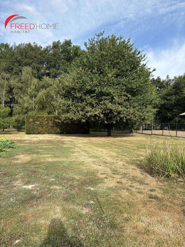 Terrain à FARGUES-SAINT-HILAIRE