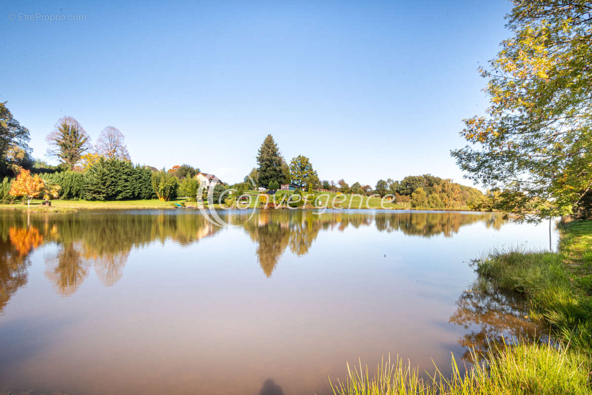 Cadre idyllique, étang aux normes de 6200 m2 sur 2,3 hectares - photo 12