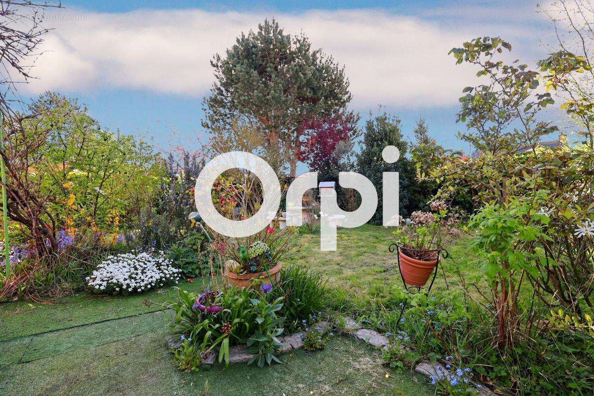 Maison à CAPPELLE-LA-GRANDE