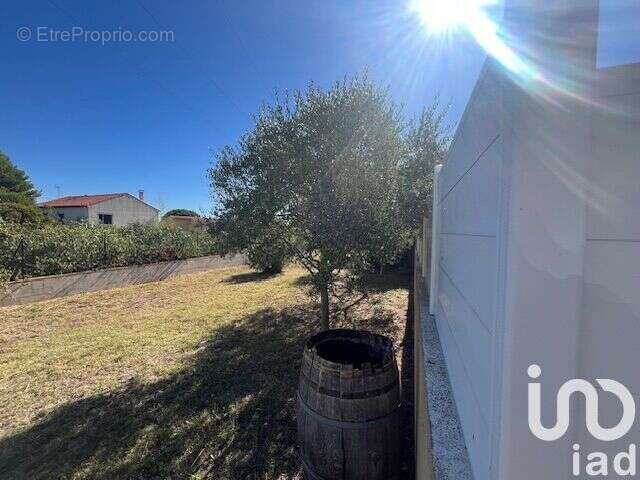 Photo 7 - Maison à MARAUSSAN
