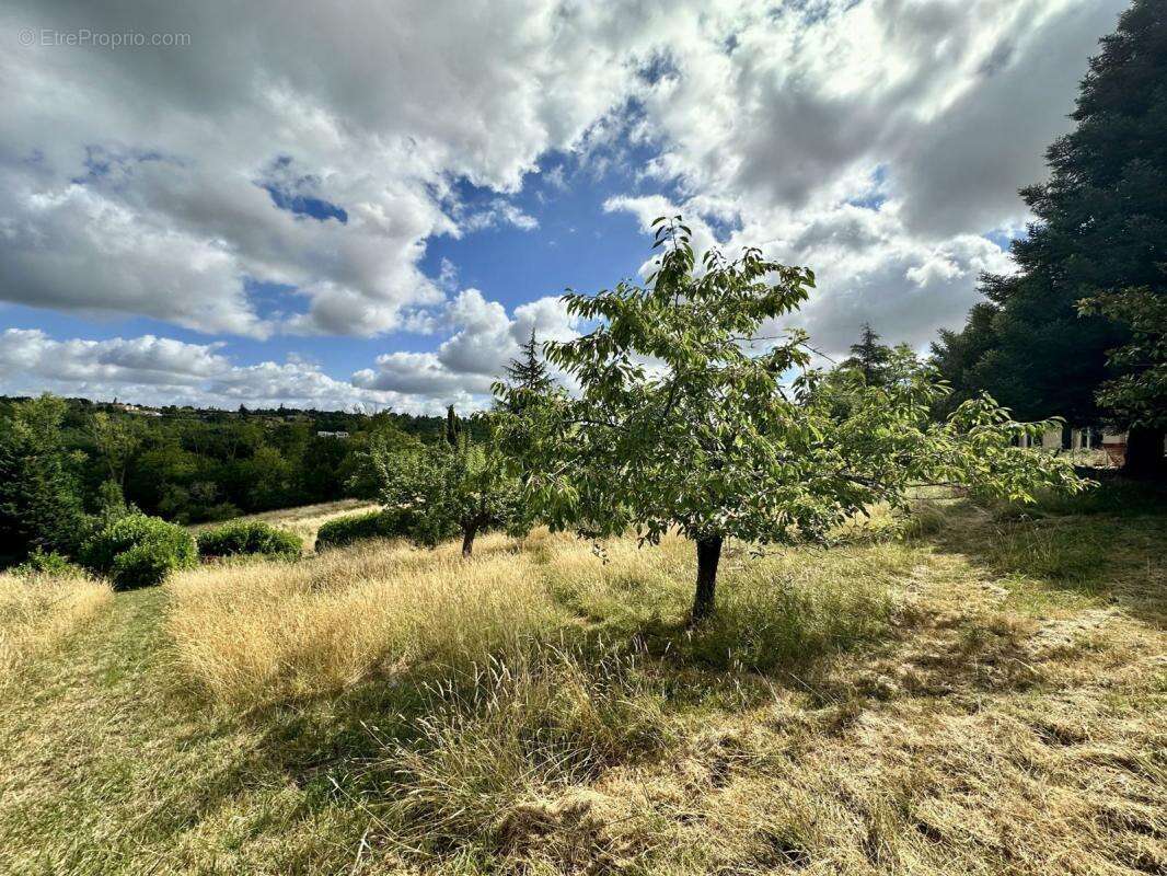 Terrain à VIGOULET-AUZIL