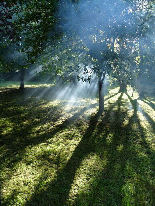 Terrain à VILLIERS-SUR-MORIN
