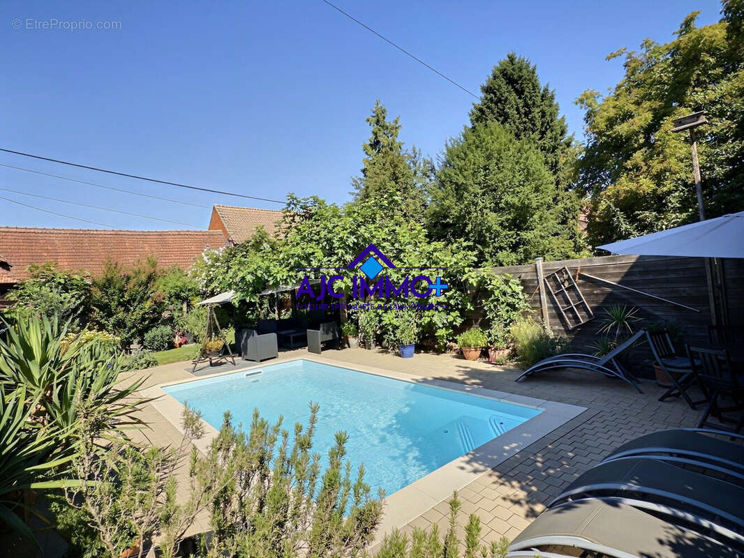 Maison 354 m² à Olwisheim  - photo 5