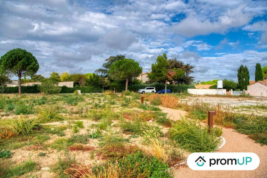 Terrain à VILLESEQUELANDE