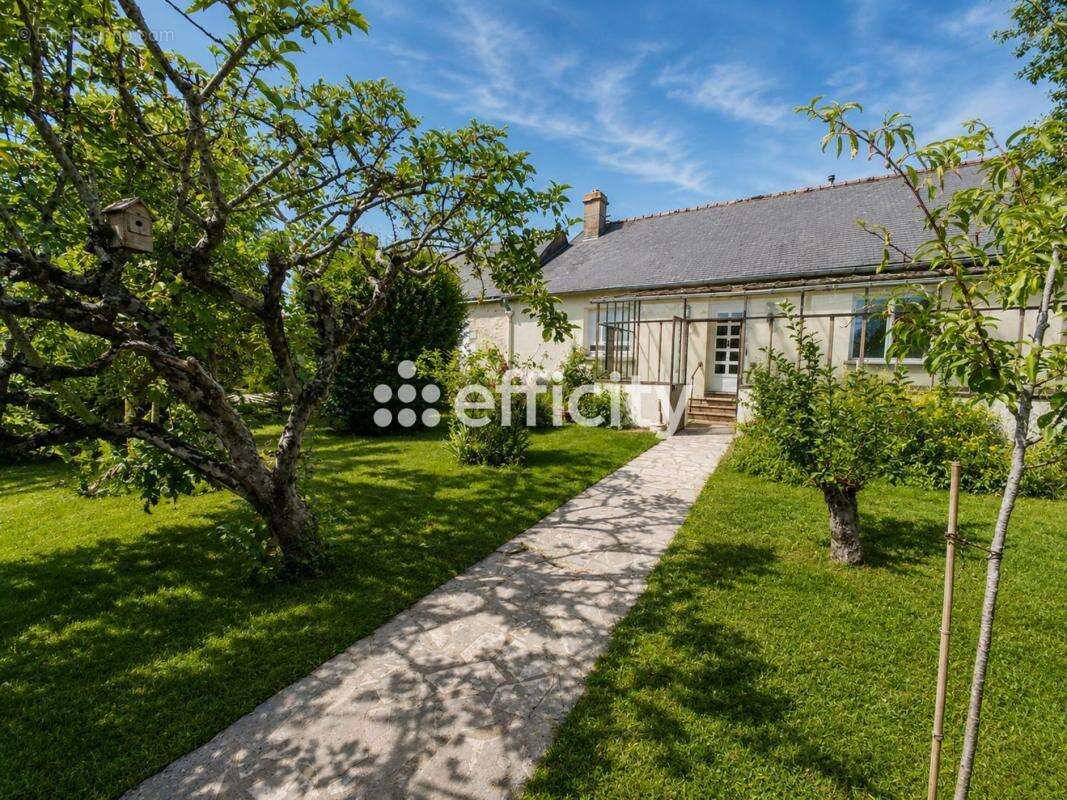 Maison 153 m² à Esvres  - photo 4