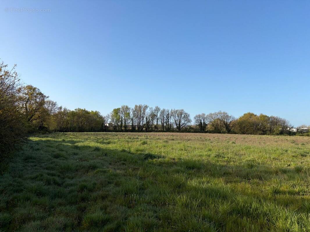 Terrain à LA ROCHELLE
