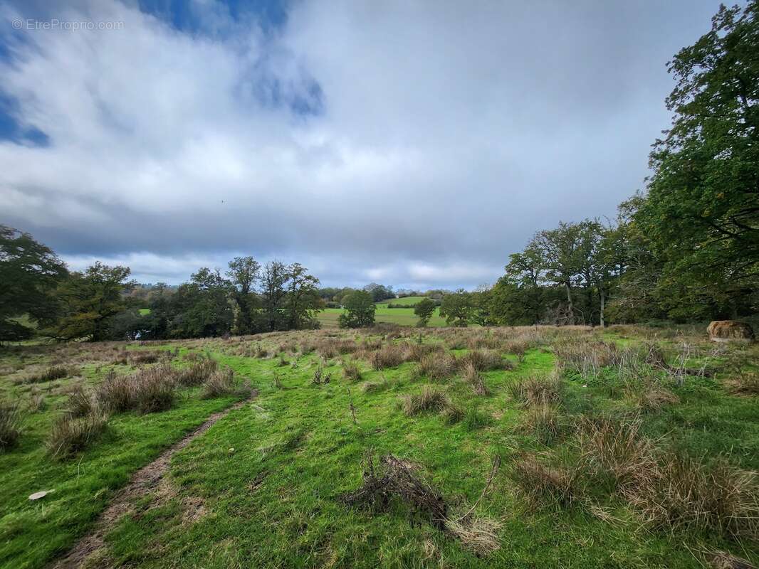 Maison à SAINT-BONNET-BRIANCE