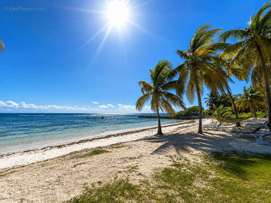 Studio vue mer en première ligne à Sainte-Anne   Dernier étage   Résidence sécurisée avec accès plage - photo 9