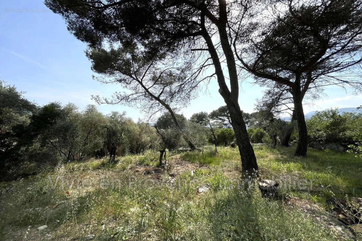 Terrain 676 m² à Drap  - photo 2