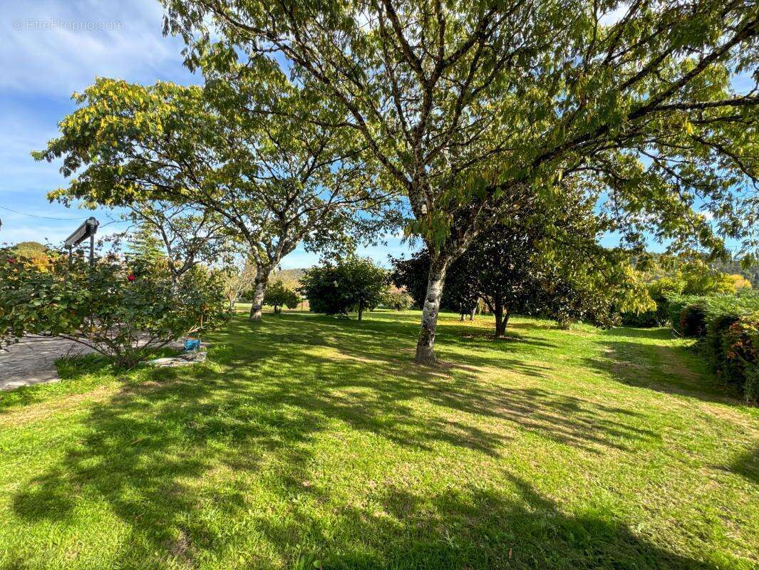 Maison à CHATEAU-L&#039;EVEQUE