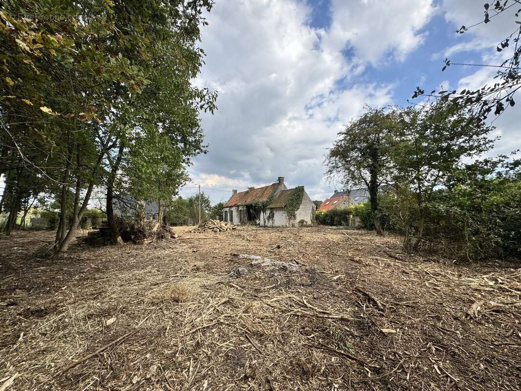 Maison à CAPPELLE-EN-PEVELE
