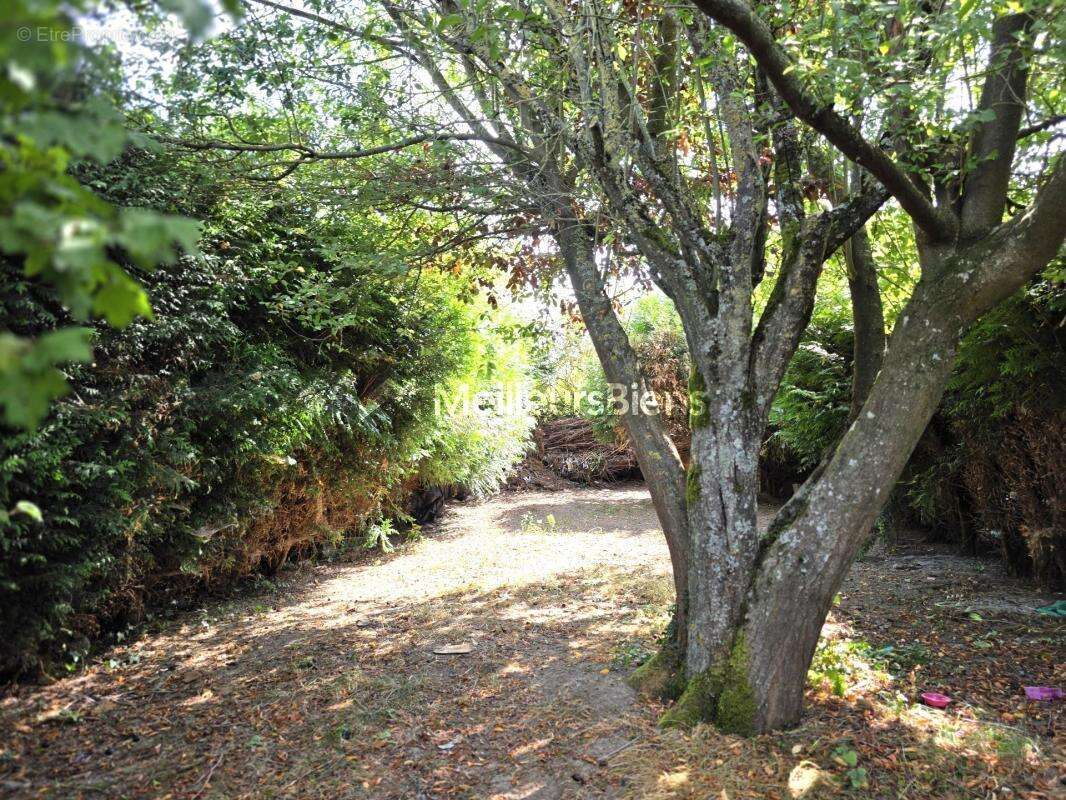 Maison 4 pièces 79 m² à Recquignies avec jardin de 385 m² - photo 12