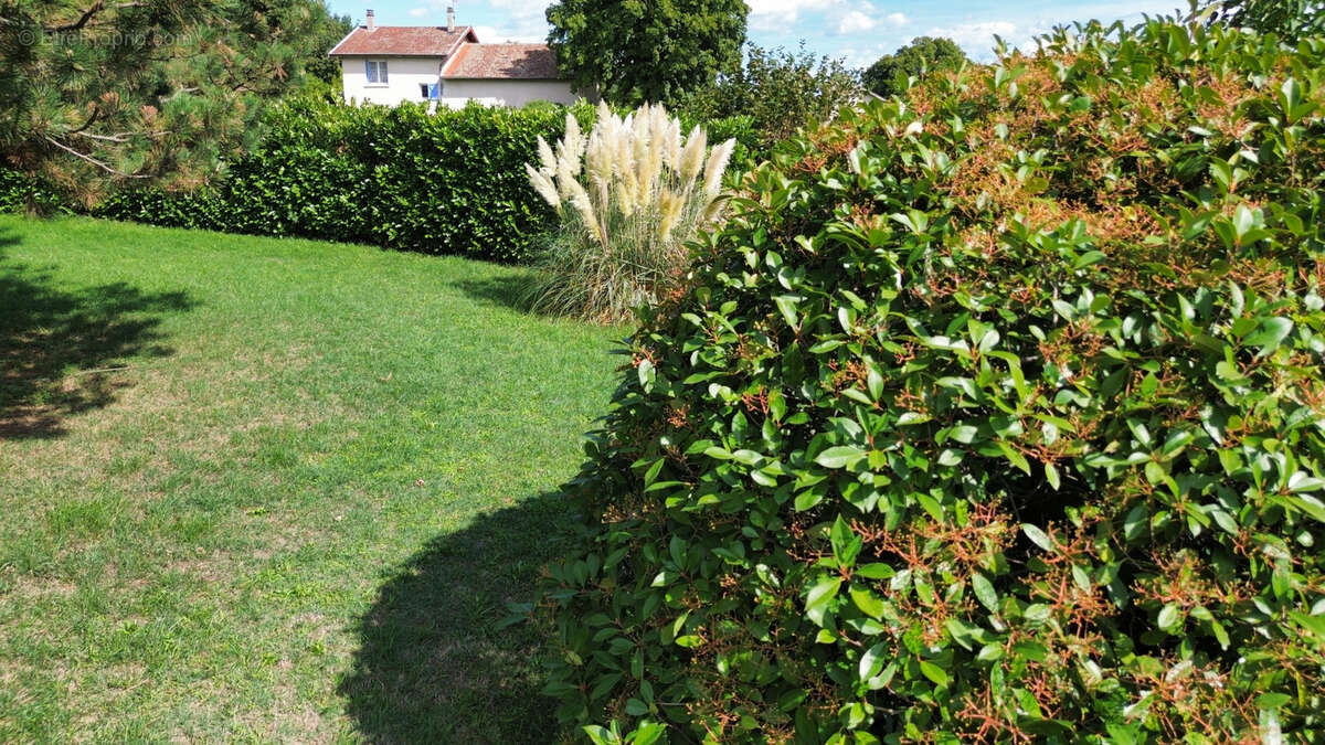 Terrain à SAINT-LATTIER