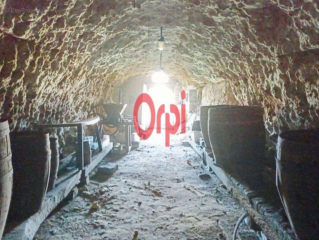 Terrain à BONNEVEAU