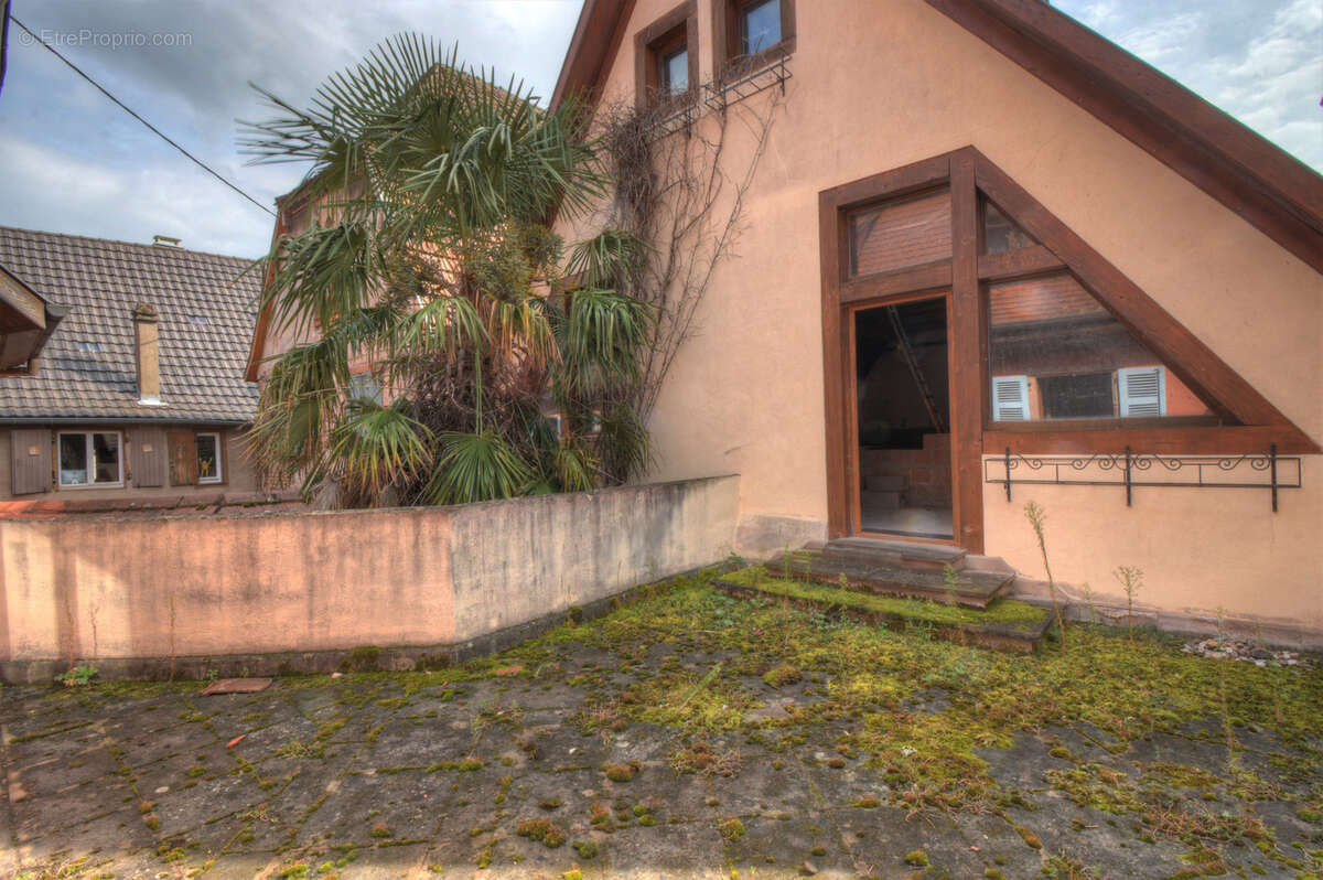 Appartement à NIEDERMORSCHWIHR