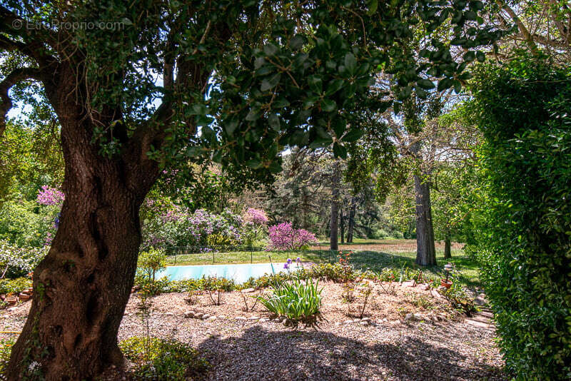 CHATEAU de famille du 17e siècle en très bon état à vendre à GIBEL - photo 31
