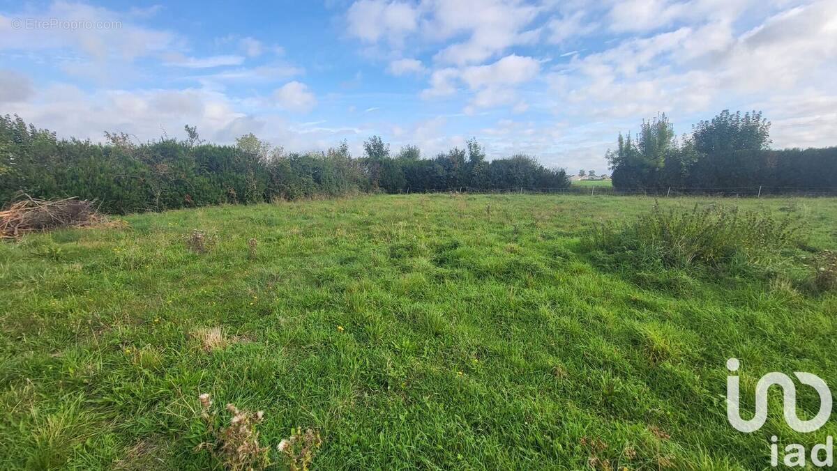 Photo 1 - Terrain à PANNES