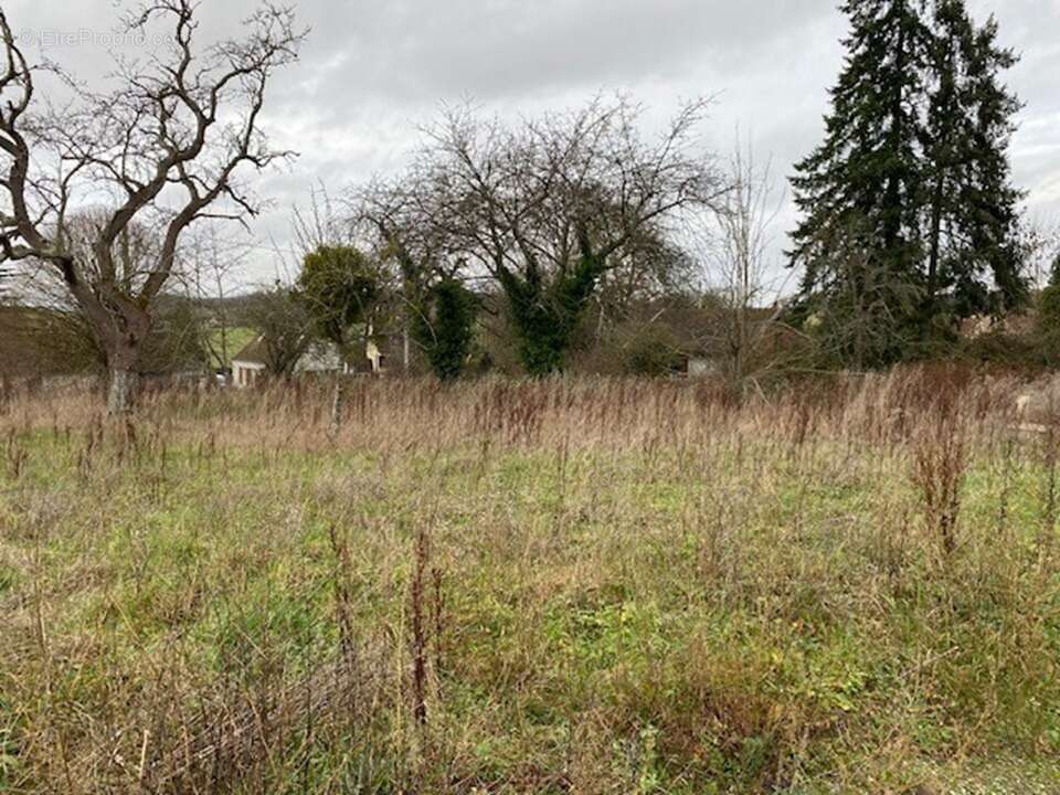 Terrain à VILLERS-SUR-TRIE
